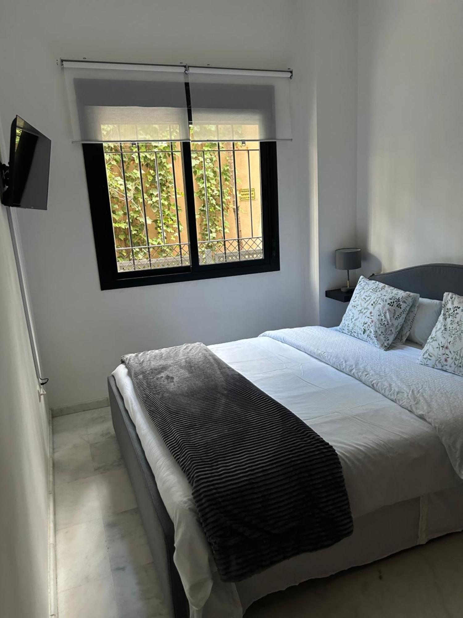 Apartamento Proximo Al Centro De 2 Dormitorios Con Piscina. Sevilla Dış mekan fotoğraf